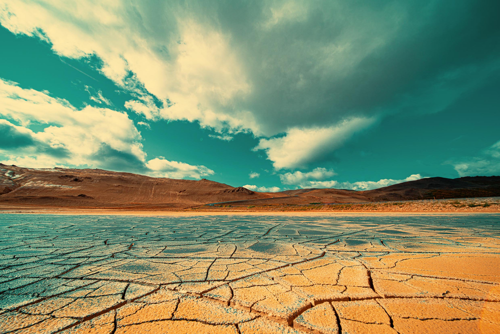 Photograph of cracked earth