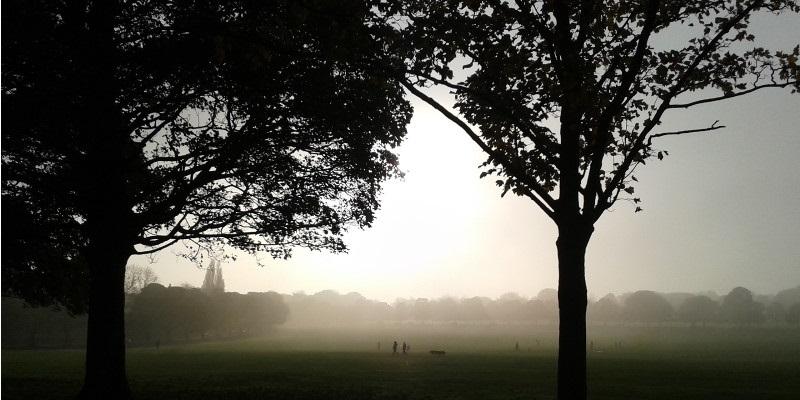 Dr Barker on the future of public parks, policy, practice and research