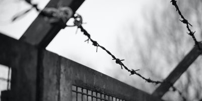 A black and white close-up photograph of a metal gate with barbed wire on top