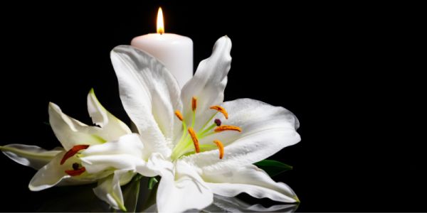 Lily on a table next to a white candle