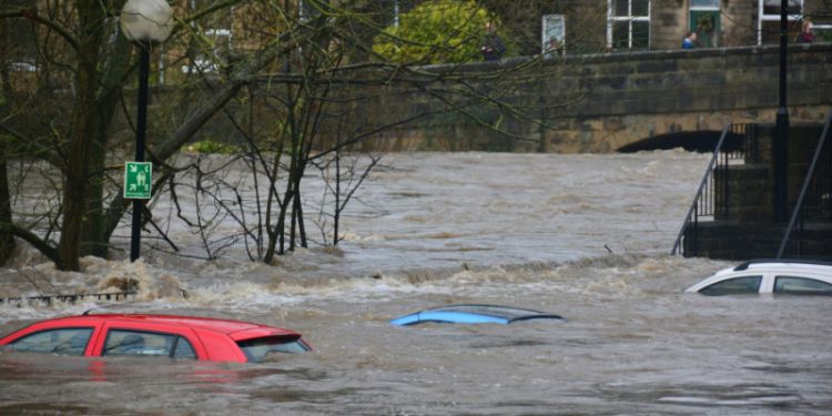 Cars in a flooded road