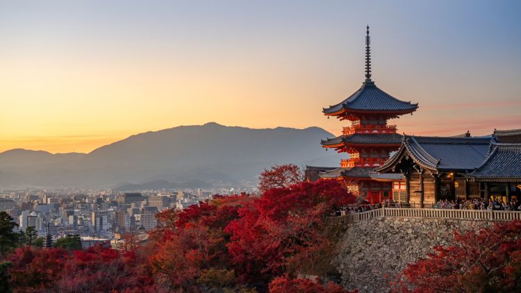 sunset at Kiyomizu Dera Pagoda Temple with red maple leaves or fall foliage in autumn season. Colorful trees, Kyoto, Japan