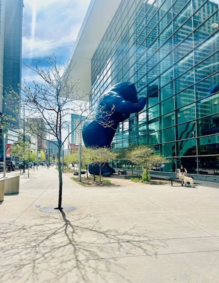 Picture of the Colorado convention centre