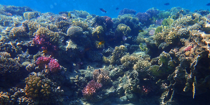 ‘New reality’ as world reaches first climate tipping point | Faculty of ...