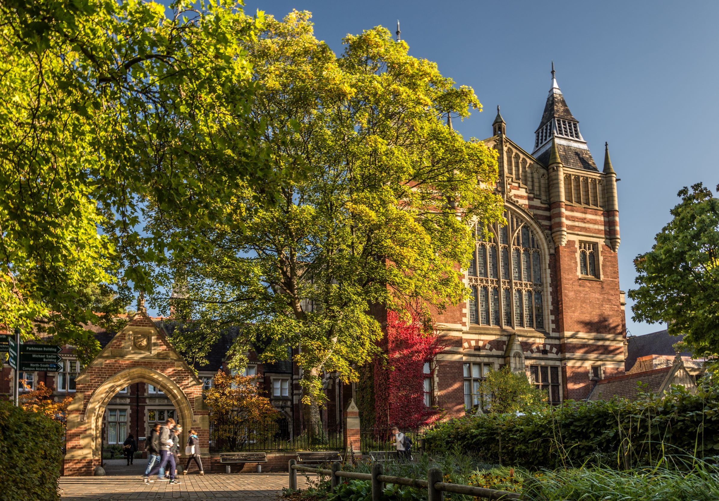 Decorative photograph of University Great Hall with green tree in foreground.
