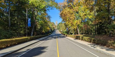 View of tree-lined road leading up to Duke University. Navy blue Duke University banners are visible hanging from lamposts on either side of the road. Blue sunny skies, a chapel just visible in the distance.