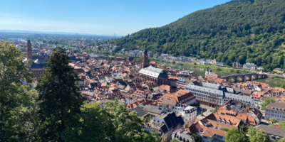 View across European city with forested mountain in background