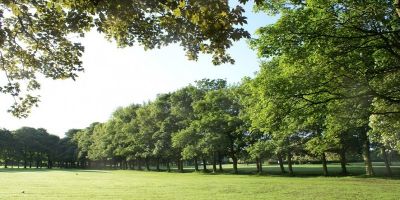 Photo of Woodhouse Moor park, green grass and row of trees
