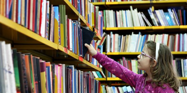 Library books on shelves