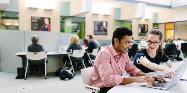 Researchers working in a library