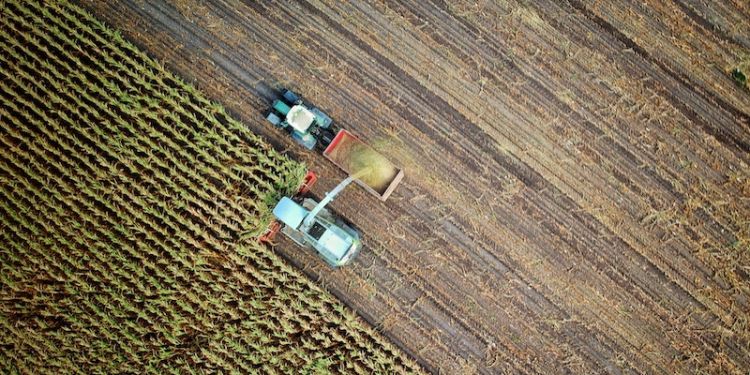Agricultural vehicles in a field from above