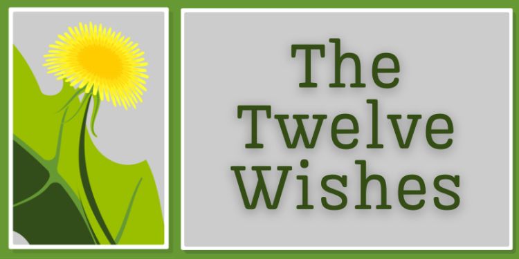 Twelve wishes