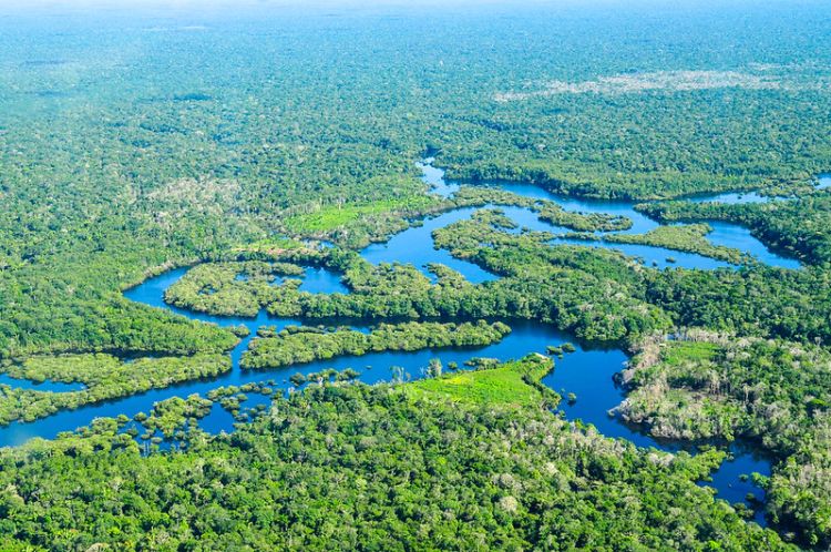 Leeds researchers win ESRC funding bid to explore river rights in Brazil