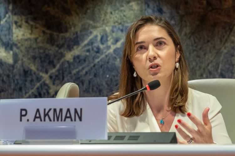 Professor Akman presents her research at the United Nations