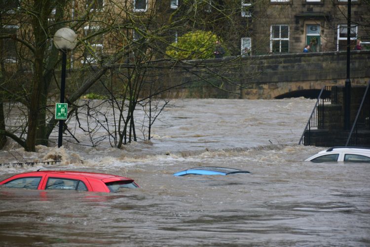 image of cars in a flooded street