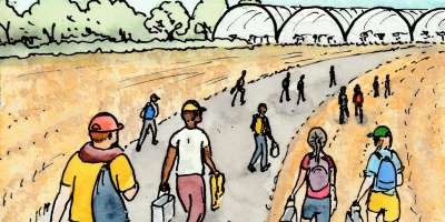 Artwork by Sarah Hannis showing seasonal workers arrive from their accommodation via a dusty farm track to the field. Part of Migrant Workers: Summer on a Strawberry Farm exhibition at Museum of English Rural Life