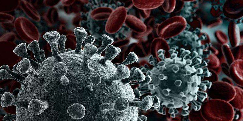 Rendered close-up image of coronavirus and blood cells